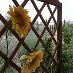 Tatil Evi Casa Girasole Huis-wakacje Asciano