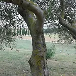 Tatil Evi Casa Girasole Huis-wakacje