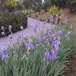 Casa Girasole Huis-wakacje Asciano