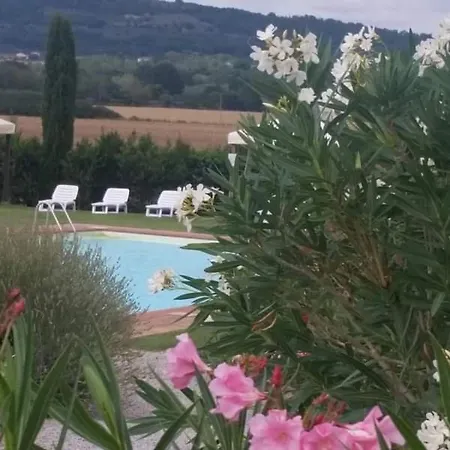 Сasa de vacaciones Casa Girasole Huis-wakacje Asciano