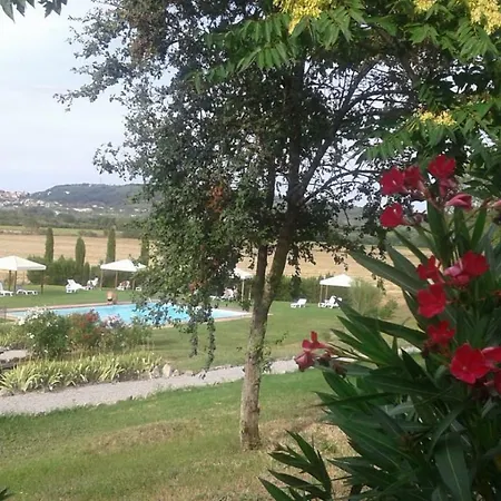 Casa Girasole Huis-wakacje 度假居 *