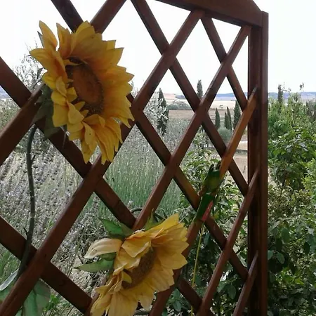 Сasa de vacaciones Casa Girasole Huis-wakacje Asciano