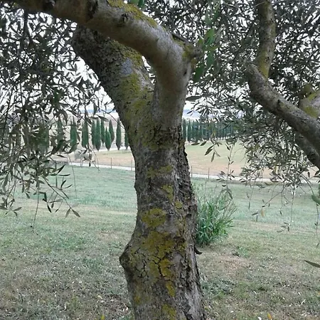 Сasa de vacaciones Casa Girasole Huis-wakacje