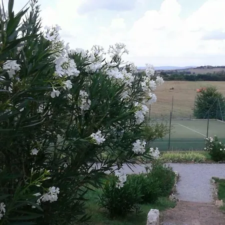 Casa Girasole Huis-wakacje *