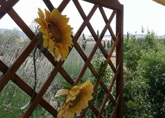 度假居 Casa Girasole Huis-wakacje 阿夏诺