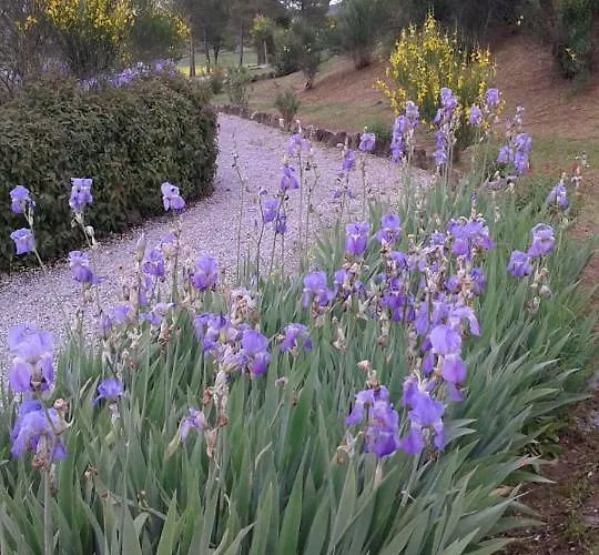 Casa Girasole Huis-wakacje 阿夏诺